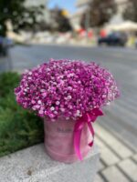 flowerbox z różową gipsówką