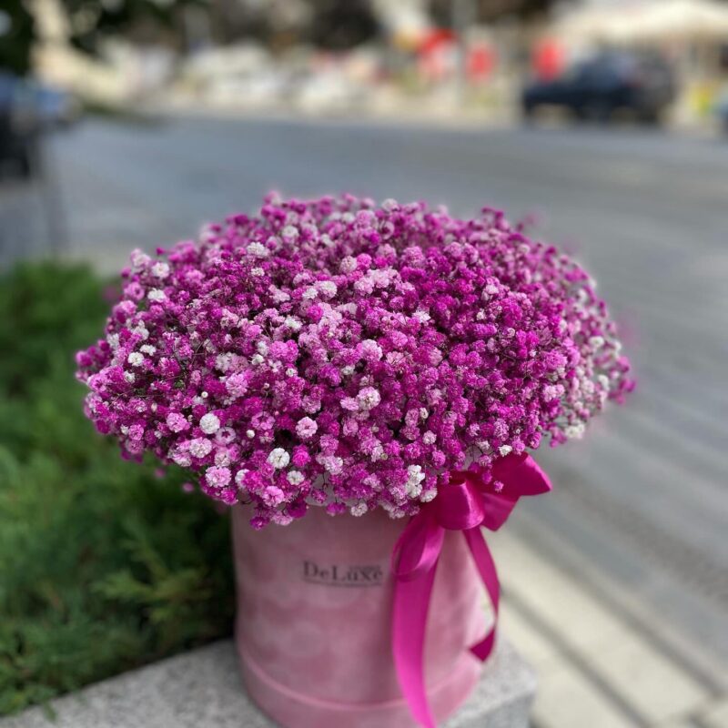 flowerbox z różową gipsówką