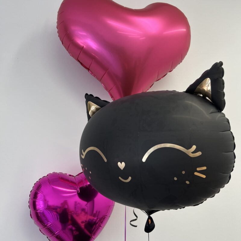 zestaw balonów Cat