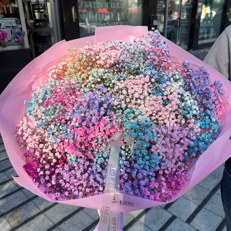 bukiet z kolorowej gipsówki 31 gałązek