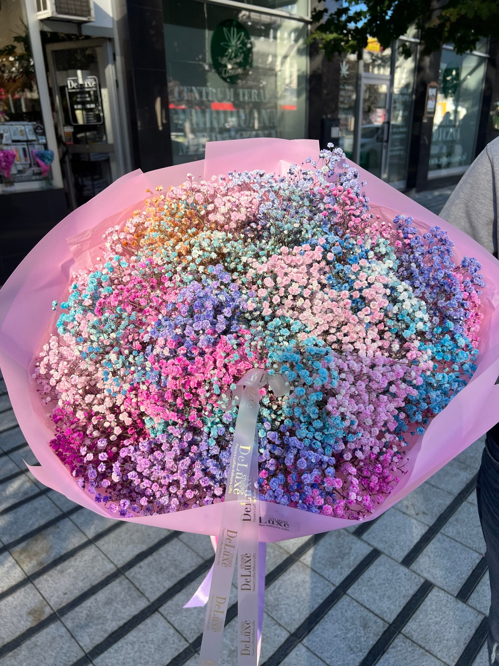 img_6713 bukiet z kolorowej gipsówki 31 gałązek