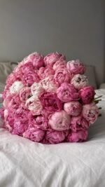 Bukiet różowych piwonii