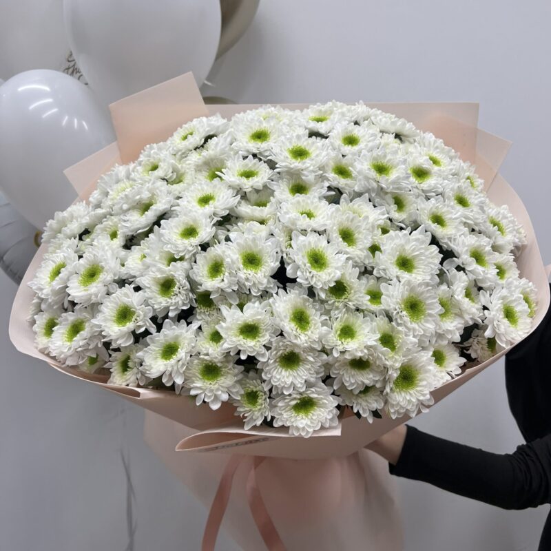 bukiet z białych chryzantem Poznań