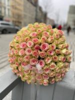 Bukiet róż 101 szt – biało-różowa Poznań