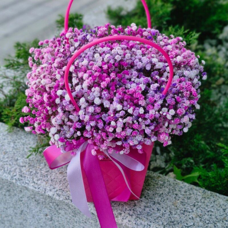 gipsówka w torebce różowo-fioletowa