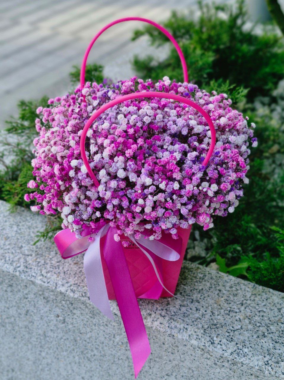 img_4559 gipsówka w torebce różowo-fioletowa