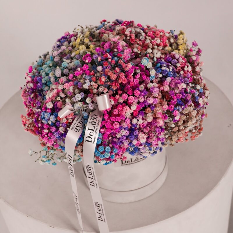 flowerbox z kolorową gipsówką