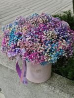 Flowerbox z kolorową gipsówką - obrazek 2