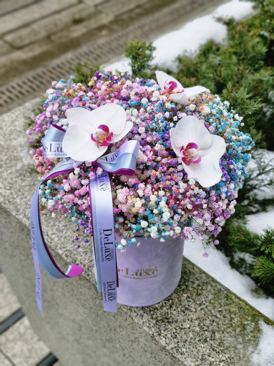 img_4902 Gipsówka w pudełku - obrazek 1