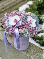 Gipsówka w pudełku - obrazek 2