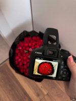 Bukiet czerwonych tulipanów – 101 tulipanów Studio Deluxe