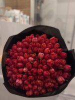 Bukiet czerwonych tulipanów – 101 tulipanów Poznan