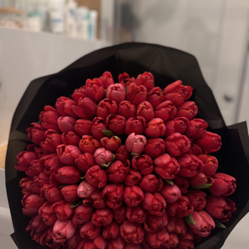 Bukiet czerwonych tulipanów – 101 tulipanów Poznan