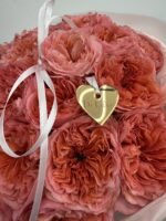 Róża piwoniowa Candy Xpression - obrazek 2