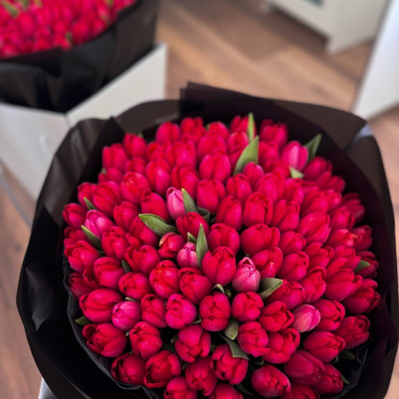 Bukiet czerwonych tulipanów – 101 tulipanów