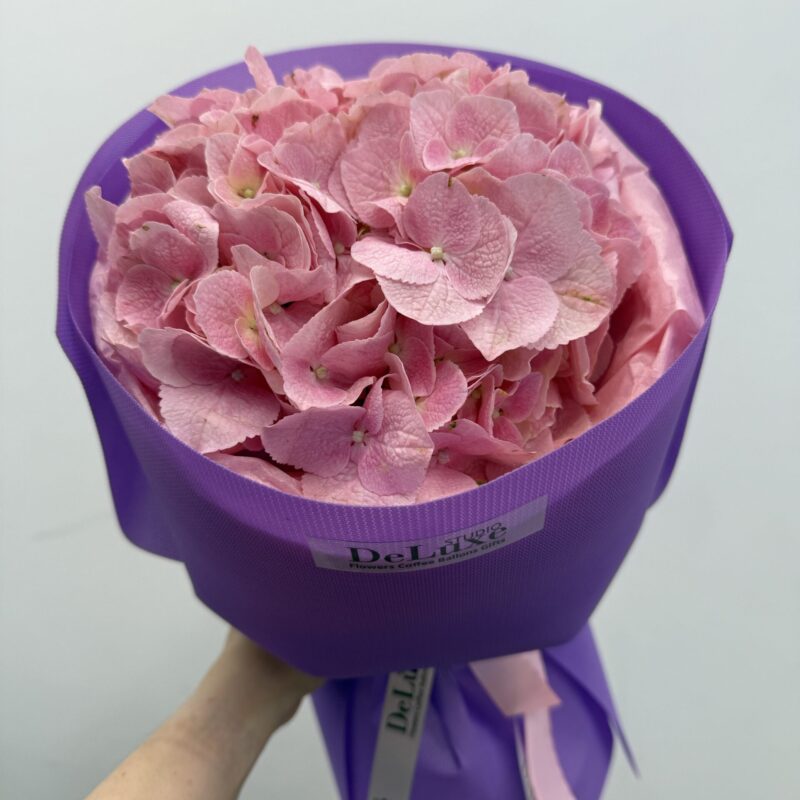 hortensja różowa bukiet