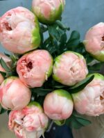 Bukiet jasnoróżowych piwonii w pąkach - obrazek 2