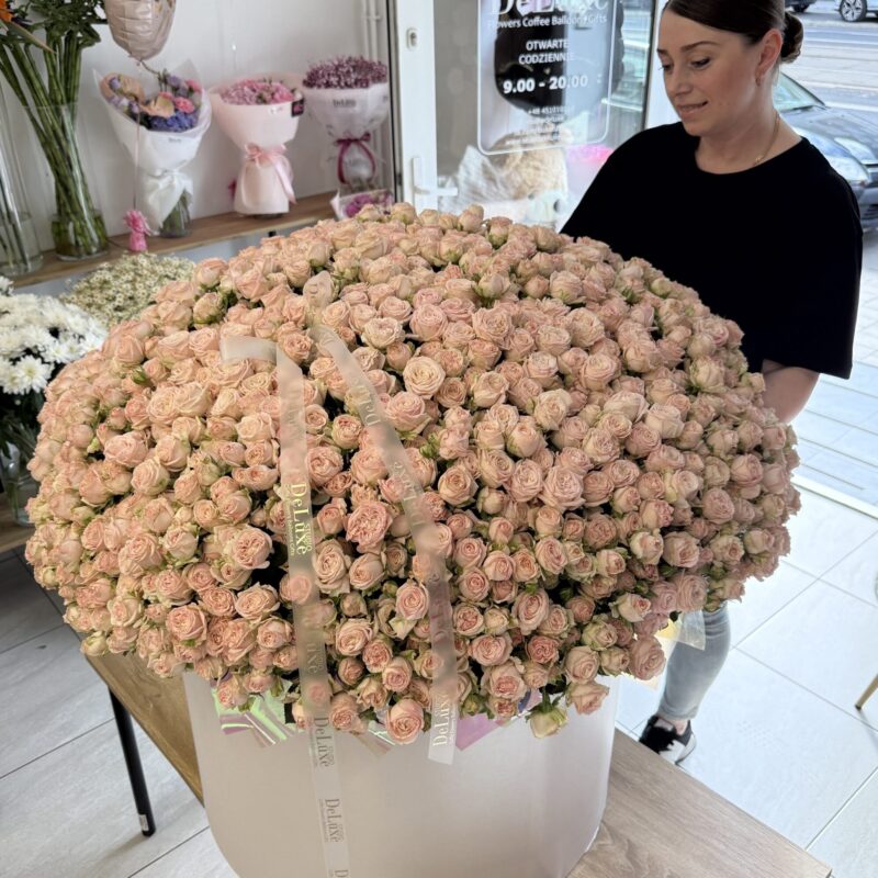 Bukiet 301 gałązkowych róż w pudełku – luksusowy prezent od Studio Deluxe