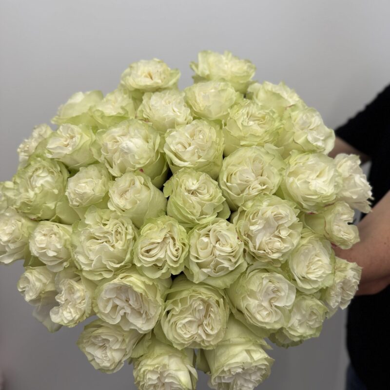 Bukiet z białych róż Studio Deluxe Poznań