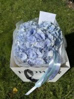 Bukiet z hortensji - obrazek 3