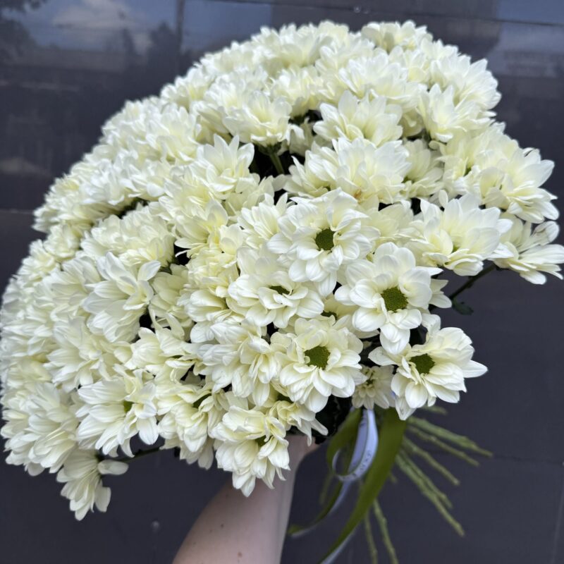 Bukiet z żółtych chryzantem w pastelowej tonacji, kompozycja 25 kwiatów