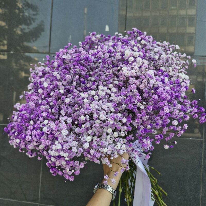 Bukiet z fioletowej gipsówki – delikatna kompozycja z 25 gałązek