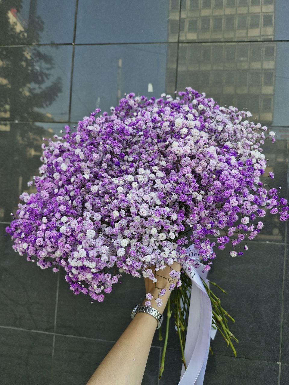 img_4554 Bukiet z fioletowej gipsówki – delikatna kompozycja z 25 gałązek
