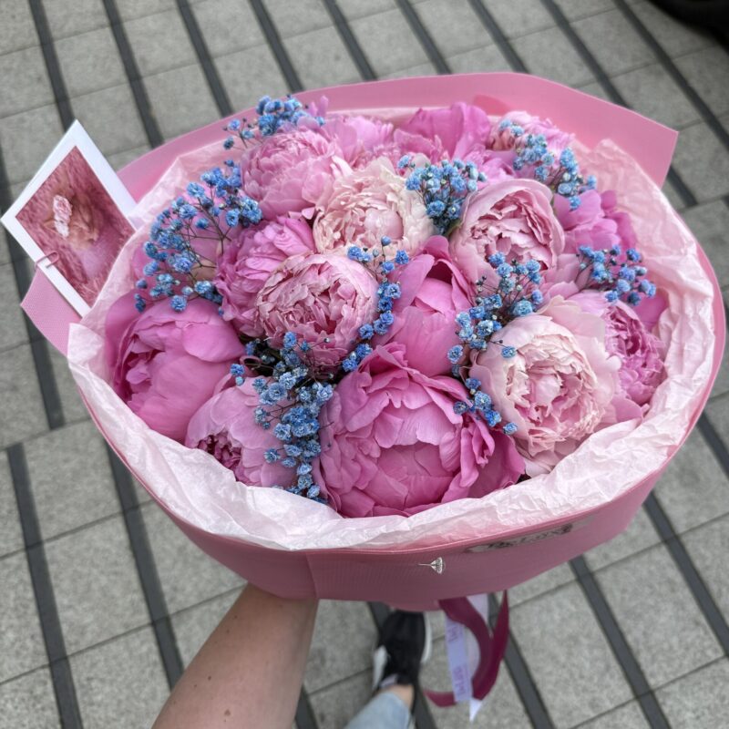 Bukiet różowych piwonii z niebieską gipsówką Studio Deluxe