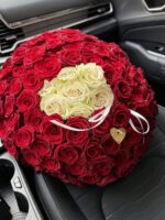 101 róża biało-czerwona