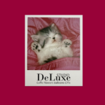 kartka z Twoim życzeniem Studio Deluxe Poznań