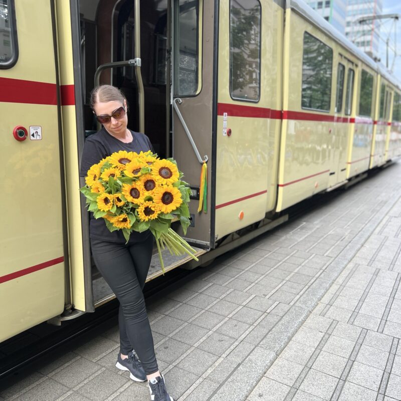 bukiet słoneczników 17 świeżych kwiatów Studio Deluxe