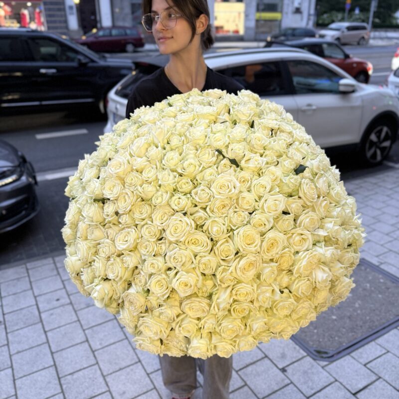 Bukiet 251 białych róż Mondial Roses Studio Deluxe Poznań