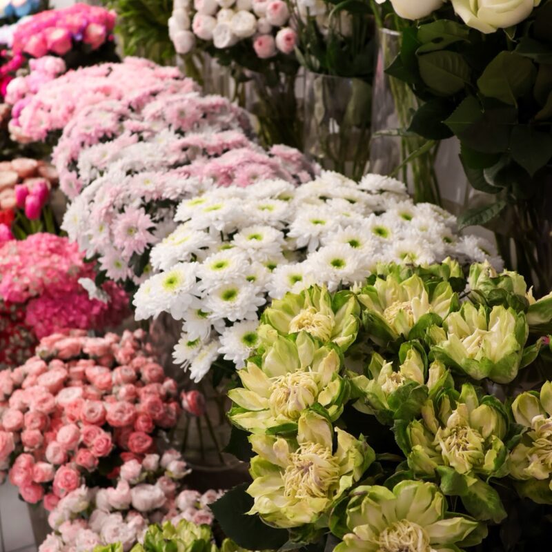 Subskrypcja Monobukiet – świeże kwiaty z dostawą do domu lub biura w Poznaniu | Studio Deluxe.