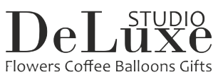 logo Studio Deluxe