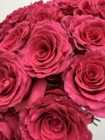 bukiet róż Full Monty 25 szt Studio Deluxe Poznań