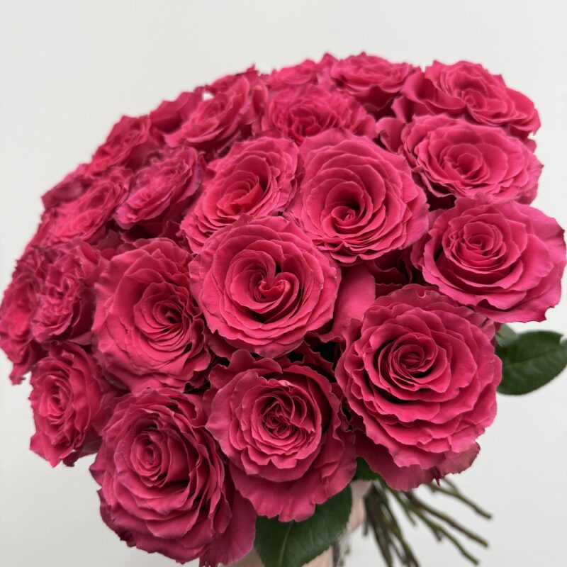 bukiet róż Full Monty 25 szt Studio Deluxe Poznań