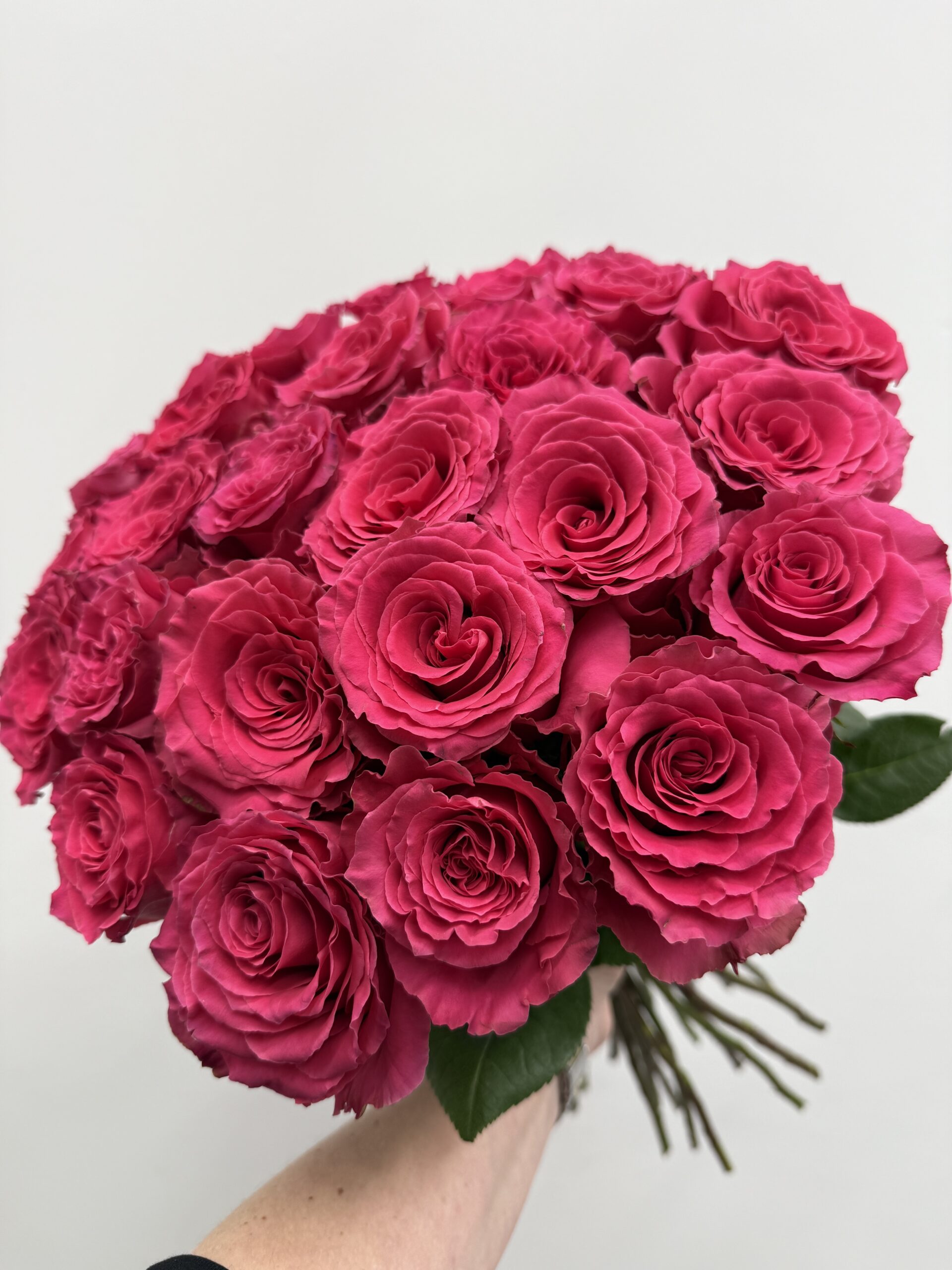 IMG_0048 bukiet róż Full Monty 25 szt Studio Deluxe Poznań