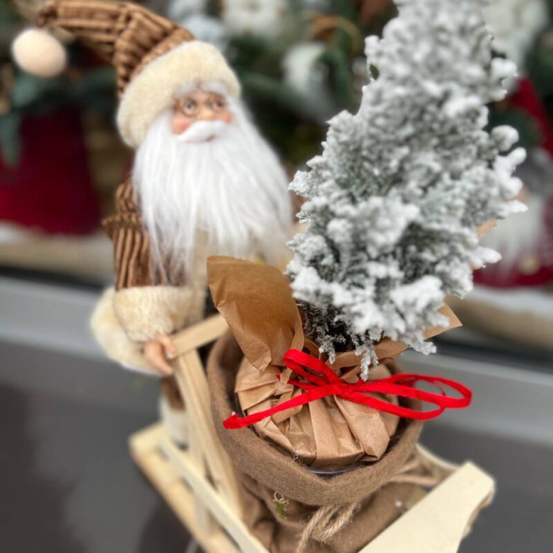 Święty Mikołaj na saniach z choinką Studio Deluxe Poznań