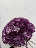 Fioletowa chryzantema | Studio Deluxe