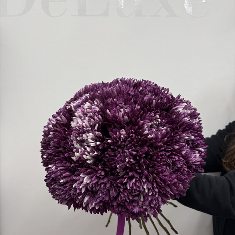 Fioletowa chryzantema | Studio Deluxe