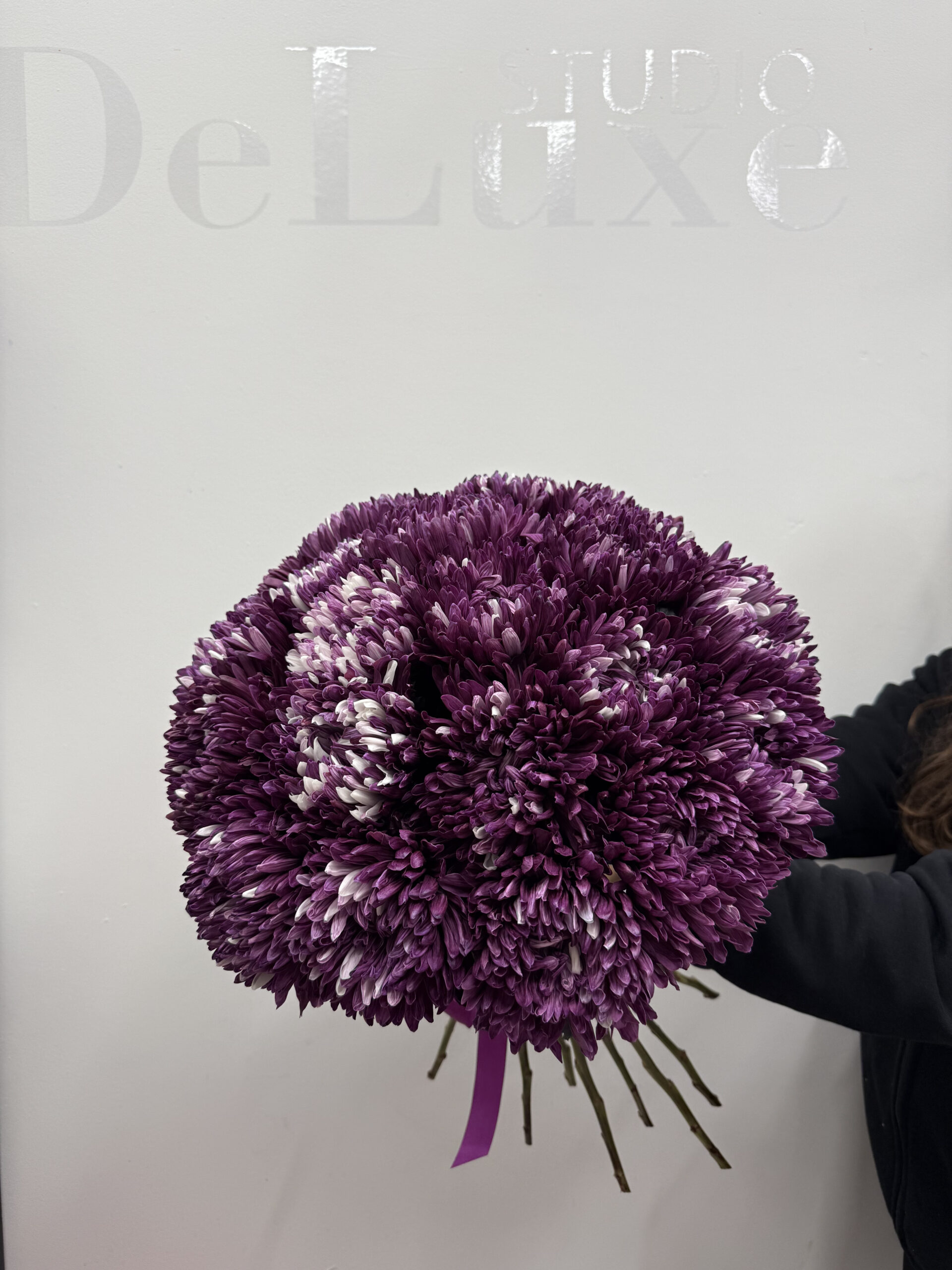 IMG_1075 Fioletowa chryzantema | Studio Deluxe
