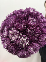 Fioletowa chryzantema | Studio Deluxe