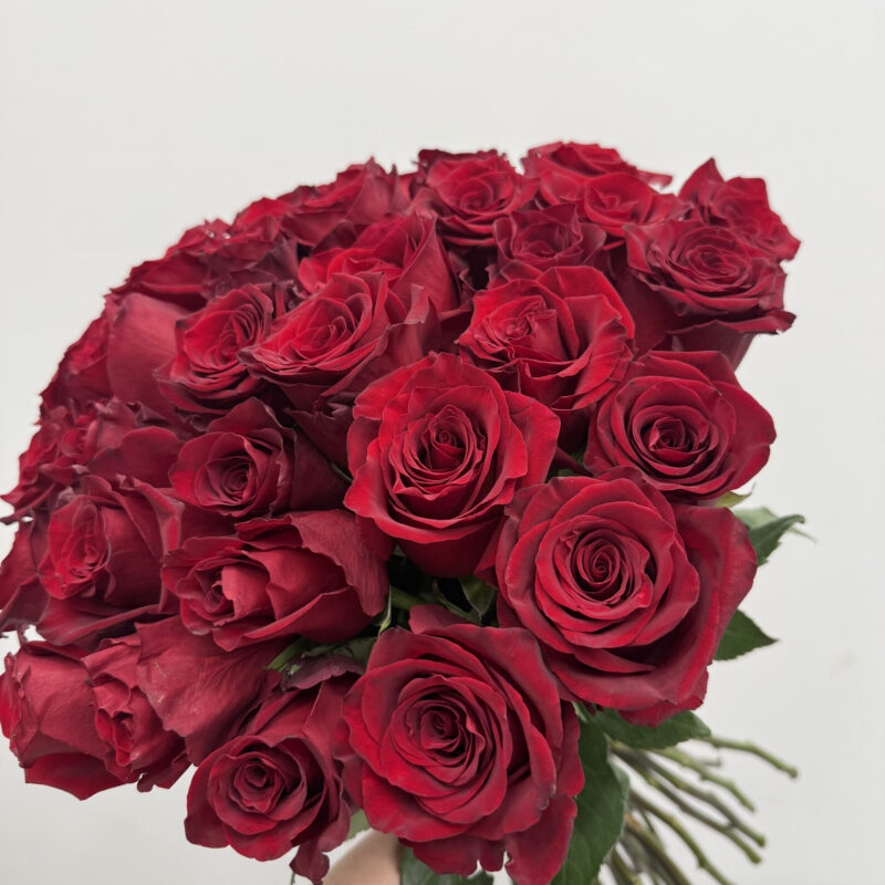 Bukiet z czerwonych róż Studio Deluxe