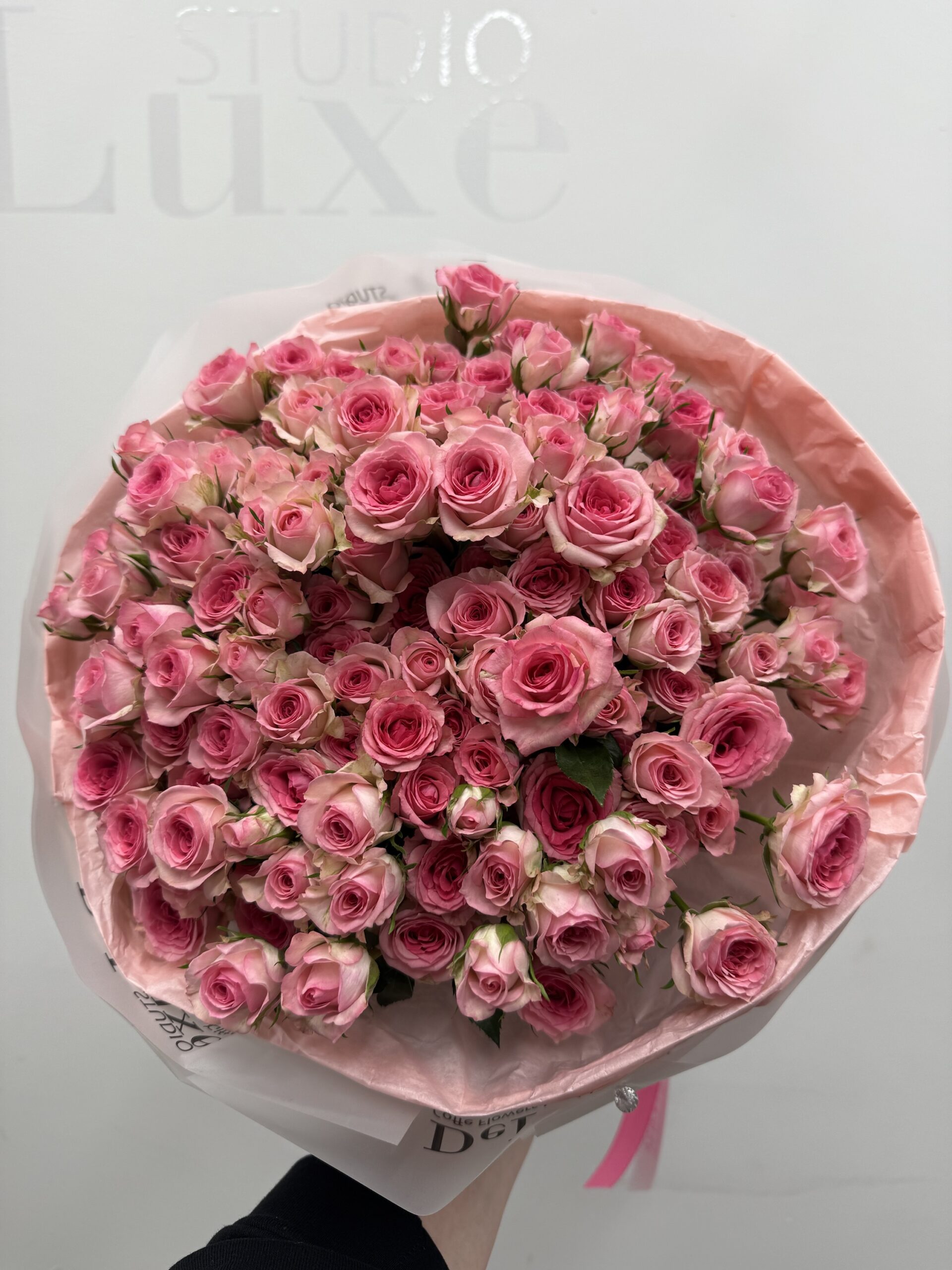 img_1069 Różowa róża gałązkowa Tralala - obrazek 1