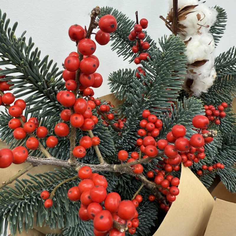Naturalny zimowy bukiet z czerwonym ilexem i bawełną