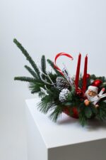 Świąteczna kompozycja z żywego nobilisa z Mikołajem