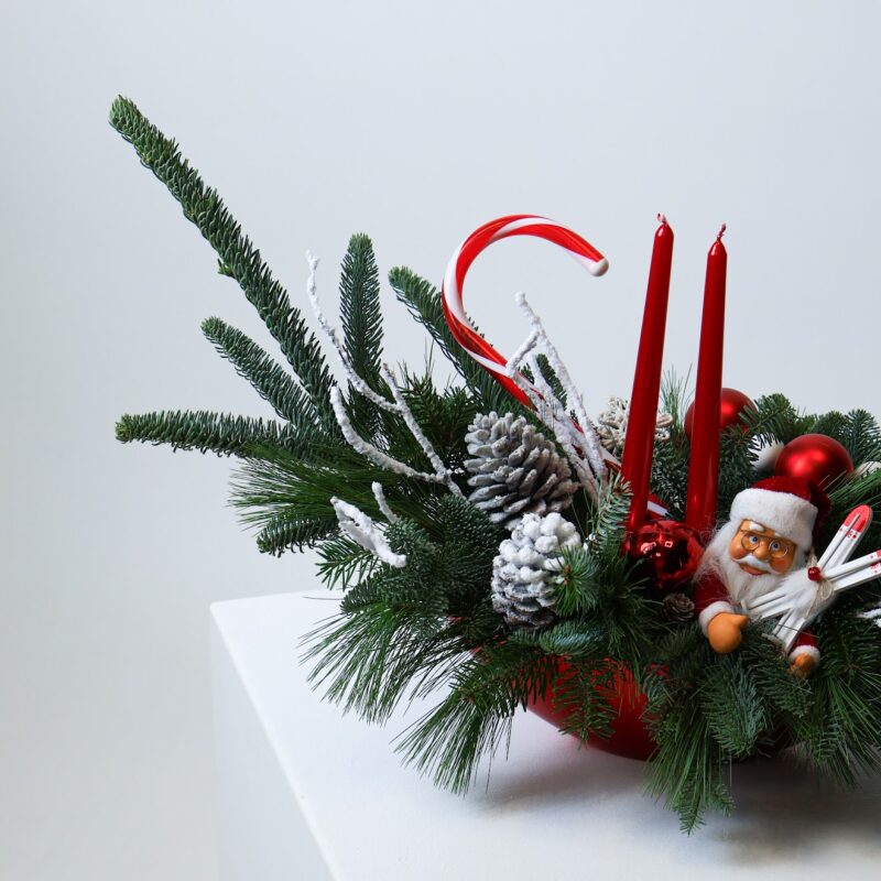 Świąteczna kompozycja z żywego nobilisa z Mikołajem