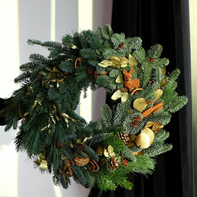 Wianek adwentowy z żywego nobilisa Boże Narodzenie Poznan