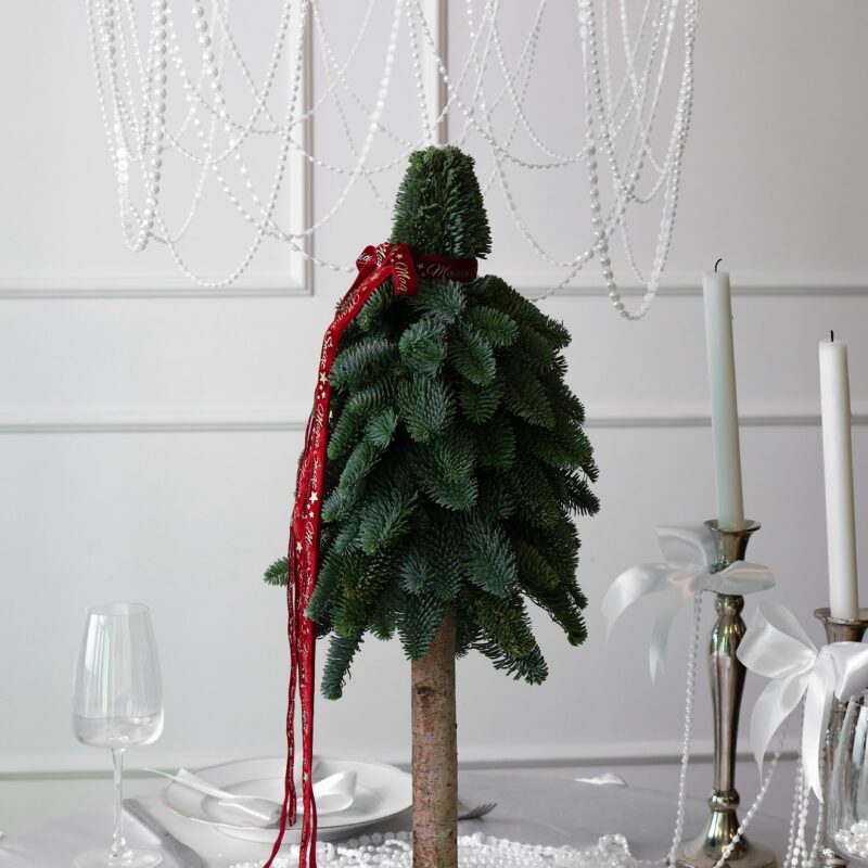 Choinka z żywego nobilisa na pniu – Studio Deluxe