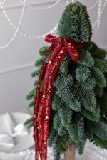 Choinka z żywego nobilisa na pniu – Studio Deluxe